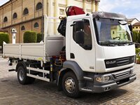 ���������, ������� ����� DAF LF